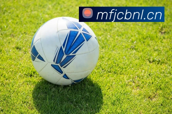 米兰网官网登录入口APP 高清赛事图